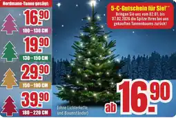 B1 Discount Baumarkt Nordmann-Tanne Angebot