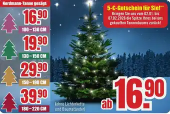 B1 Discount Baumarkt Nordmann-Tanne Angebot