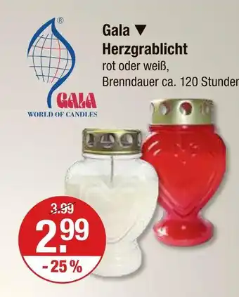 V Markt Gala herzgrablicht Angebot