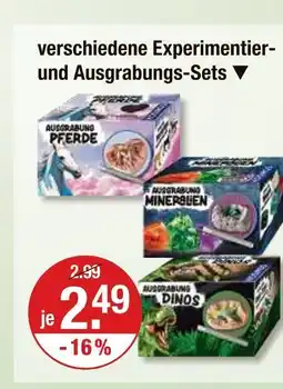 V Markt Experimentierund ausgrabungs-sets Angebot