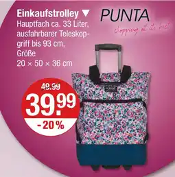 V Markt Punta einkaufstrolley Angebot