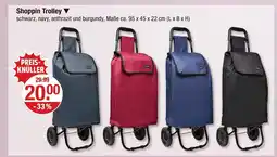 V Markt Shopping trolley Angebot