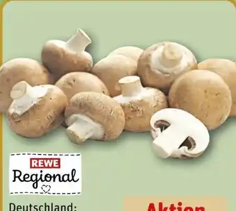REWE Rewe Regional Champignons Angebot