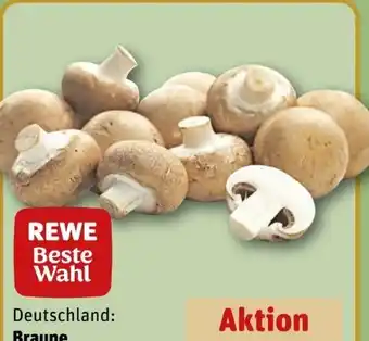REWE Rewe Beste Wahl Champignons Angebot
