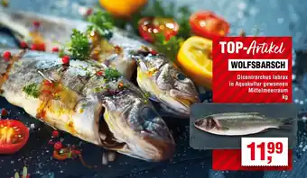 Handelshof Wolfsbarsch Angebot