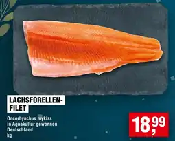 Handelshof Lachsforellenfilet Angebot