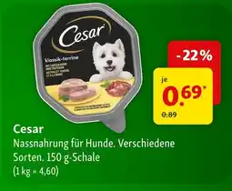 Fressnapf Cesar cesar Angebot