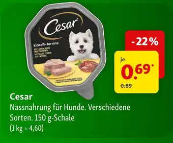Fressnapf Cesar cesar Angebot