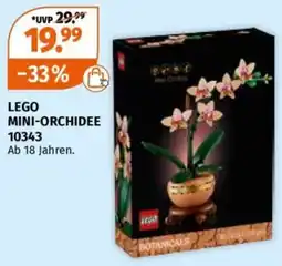 Müller LEGO BOTANICALS MINI-ORCHIDEE Angebot