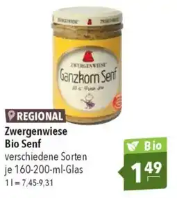 CITTI Markt Zwergenwiese Bio Senf Angebot