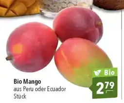 CITTI Markt Bio Mango Angebot