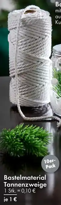 TEDi Bastelmaterial Tannenzweige Angebot