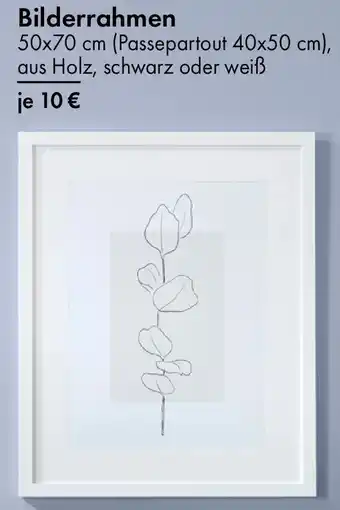 TEDi Bilderrahmen Angebot