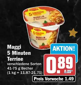 AEZ Maggi 5 Minuten Terrine Angebot
