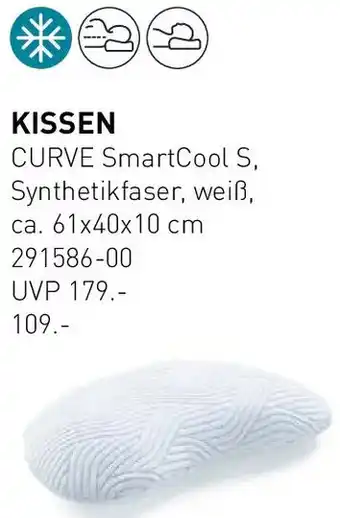 Möbel Martin Kissen Angebot