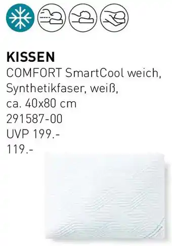 Möbel Martin Kissen Angebot