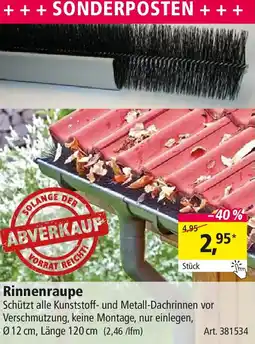 Holz Possling Rinnenraupe Angebot