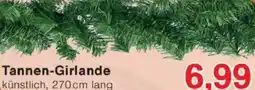 Jawoll Tannen-Girlande Angebot