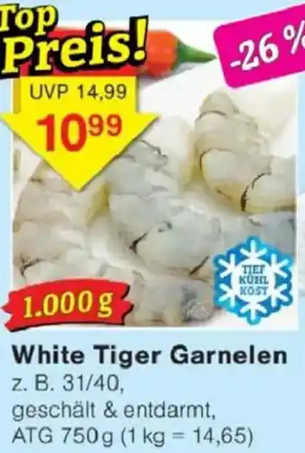 Jawoll White Tiger Garnelen Angebot