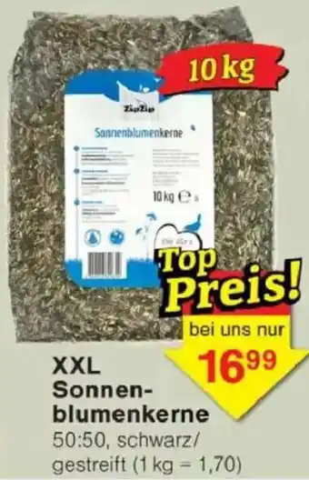 Jawoll XXL Sonnenblumenkerne Angebot