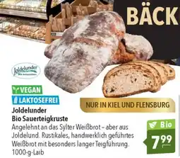 CITTI Markt Joldelunder Bio Sauerteigkruste Angebot