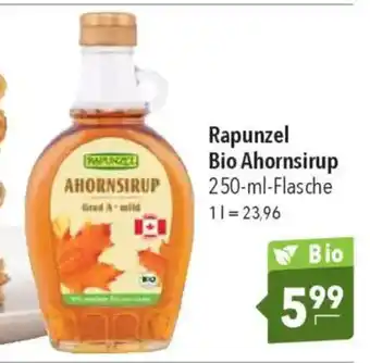 CITTI Markt Rapunzel Bio Ahornsirup Angebot