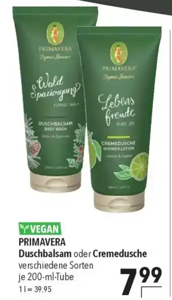 CITTI Markt PRIMAVERA Duschbalsam oder Cremedusche Angebot