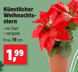 Thomas Philipps Künstlicher Weihnachtsstern Angebot