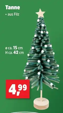 Thomas Philipps Tanne Angebot