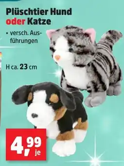 Thomas Philipps Plüschtier Hund oder Katze Angebot