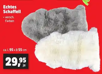 Thomas Philipps Echtes Schaffell Angebot