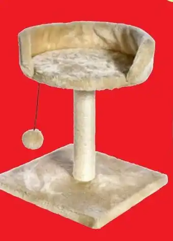 Thomas Philipps Katzen Kratzbaum Angebot