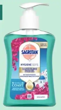 Thomas Philipps Sagrotan Flüssigseife Angebot