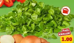 PENNY Feldsalat Angebot