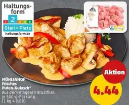 PENNY MÜHLENHOF Frisches Puten-Gulasch Angebot