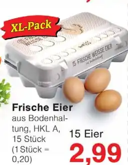 Wiglo Wunderland Frische Eier Angebot