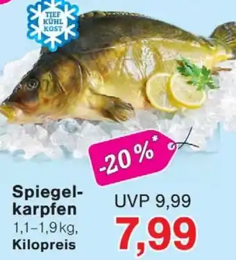 Wiglo Wunderland Spiegel karpfen Angebot