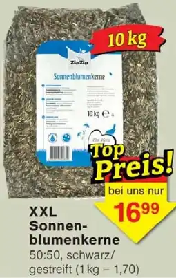 Wiglo Wunderland XXL Sonnenblumenkerne Angebot