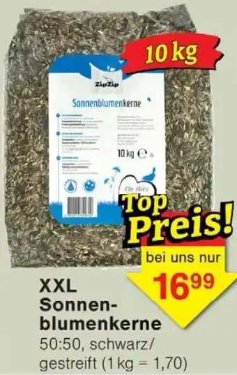 Wiglo Wunderland XXL Sonnenblumenkerne Angebot