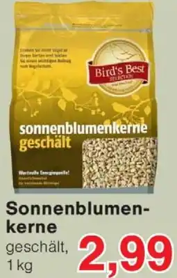 Wiglo Wunderland Sonnenblumenkerne Angebot