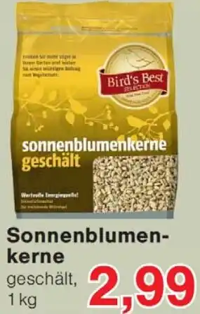 Wiglo Wunderland Sonnenblumenkerne Angebot