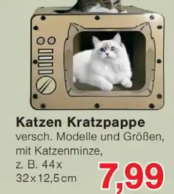 Wiglo Wunderland Katzen Kratzpappe Angebot