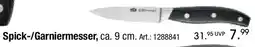 Zurbrüggen BSF Spick/Garniermesser Angebot