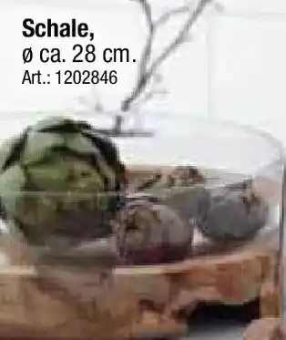 Zurbrüggen LEONARDO Schale Angebot