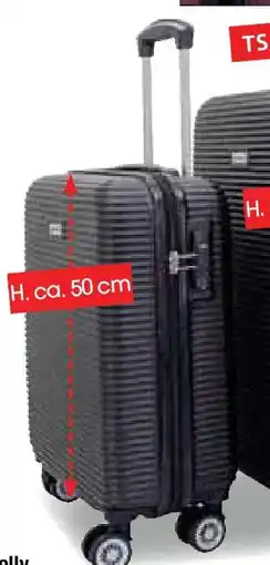 Zurbrüggen Trolley H. ca. 50 cm Angebot