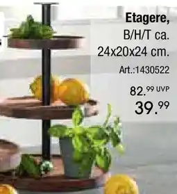 Zurbrüggen ZASSENHAUS Etagere Angebot