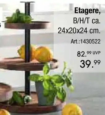 Zurbrüggen ZASSENHAUS Etagere Angebot