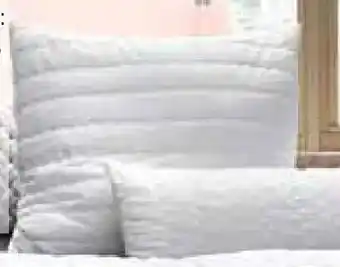 Zurbrüggen billerbeck Kopfkissen ANTIGUA Angebot