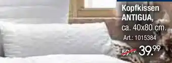 Zurbrüggen billerbeck Kopfkissen ANTIGUA Angebot