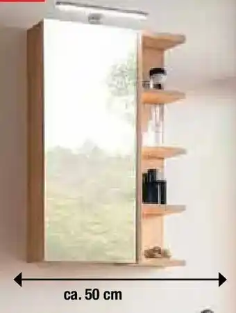 Zurbrüggen Stylife Spiegelschrank Angebot